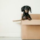Start Packing Earlier Than You Think